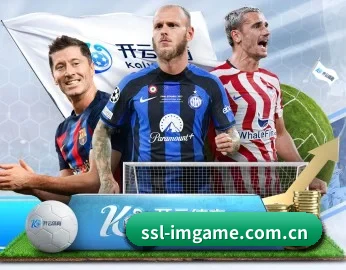 ssl-imgame.com.cn,打造您的品质生活指南